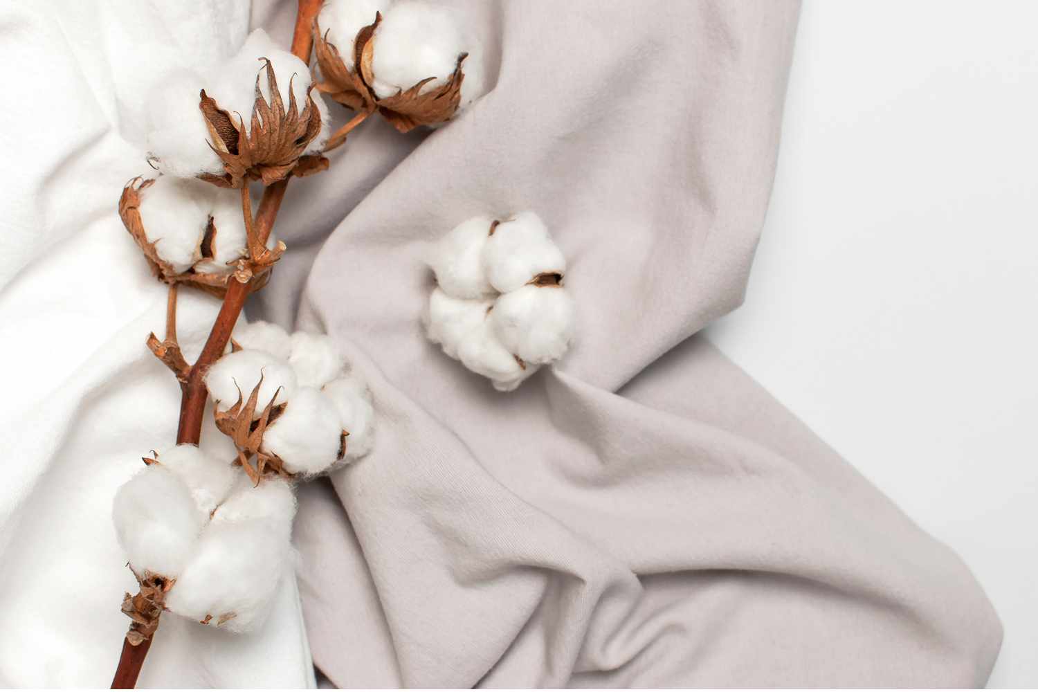What is organic cotton fabric? A guide to the ultimate sustainable fabric choice